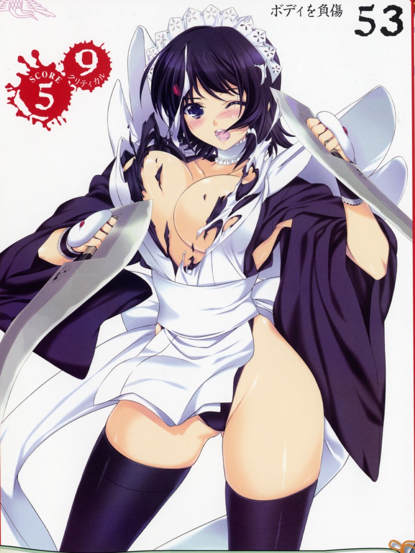 iroha (queen's blade and 2 more) drawn by iizuki_tasuku