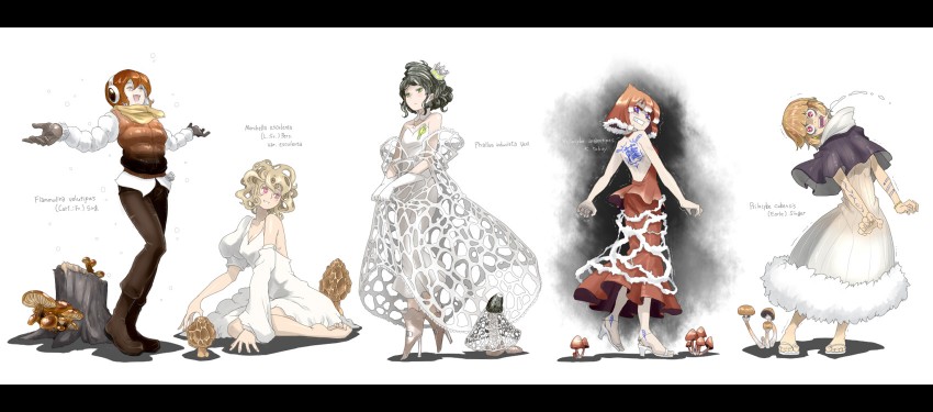 flammulina velutipes, psilocybe cubensis, psilocybe argentipes, phallus indusiatus, and morchella esculenta (oso-teki kinoko gijinka zukan) drawn by oso_(toolate)