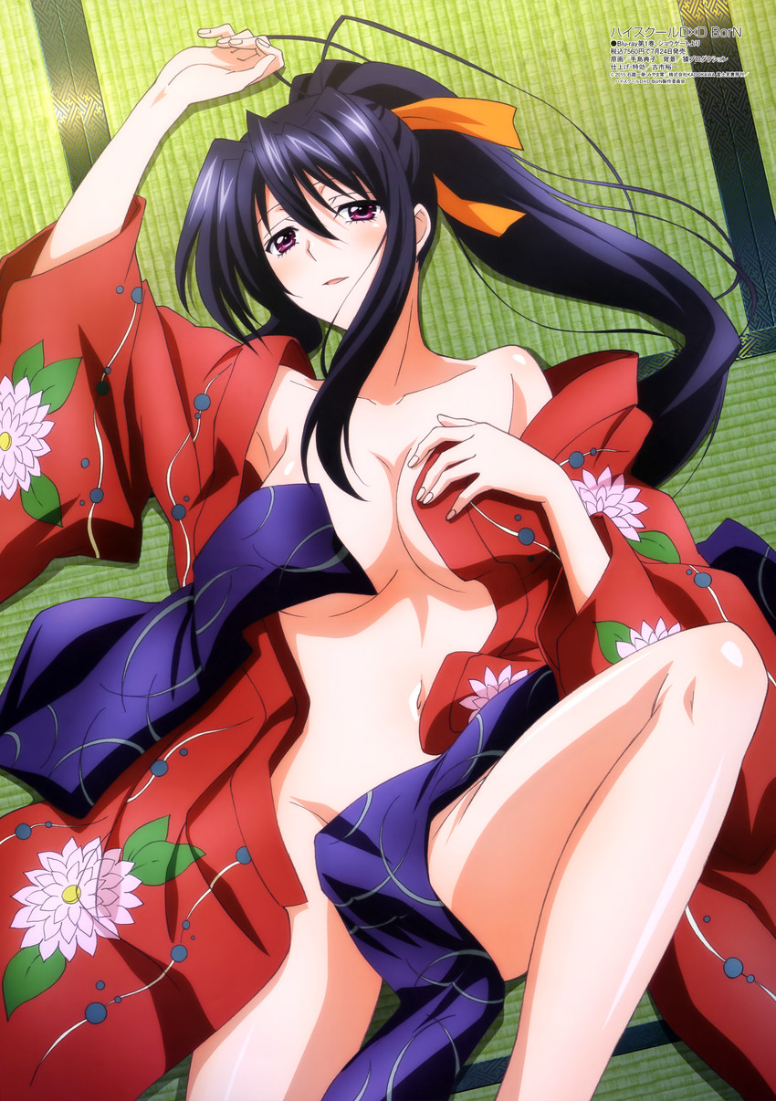 himejima akeno (high school dxd and 2 more) drawn by teshima_noriko