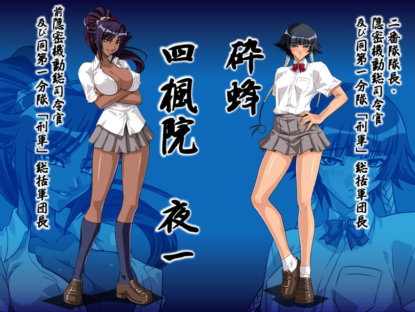 shihouin yoruichi and sui-feng (bleach) drawn by kagami_hirotaka