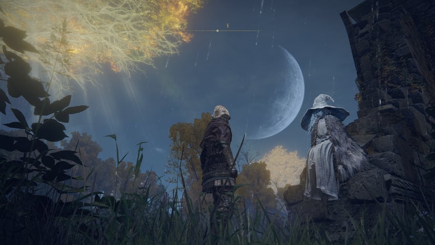 ranni the witch and tarnished (elden ring and 1 more)