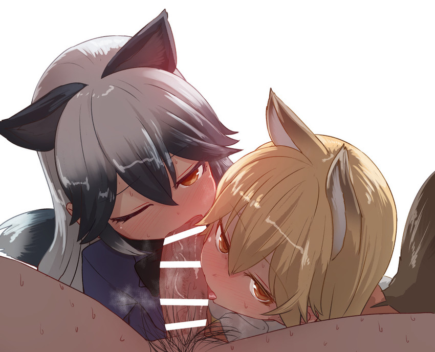 silver fox and ezo red fox (kemono friends) drawn by sumiyao_(amam)