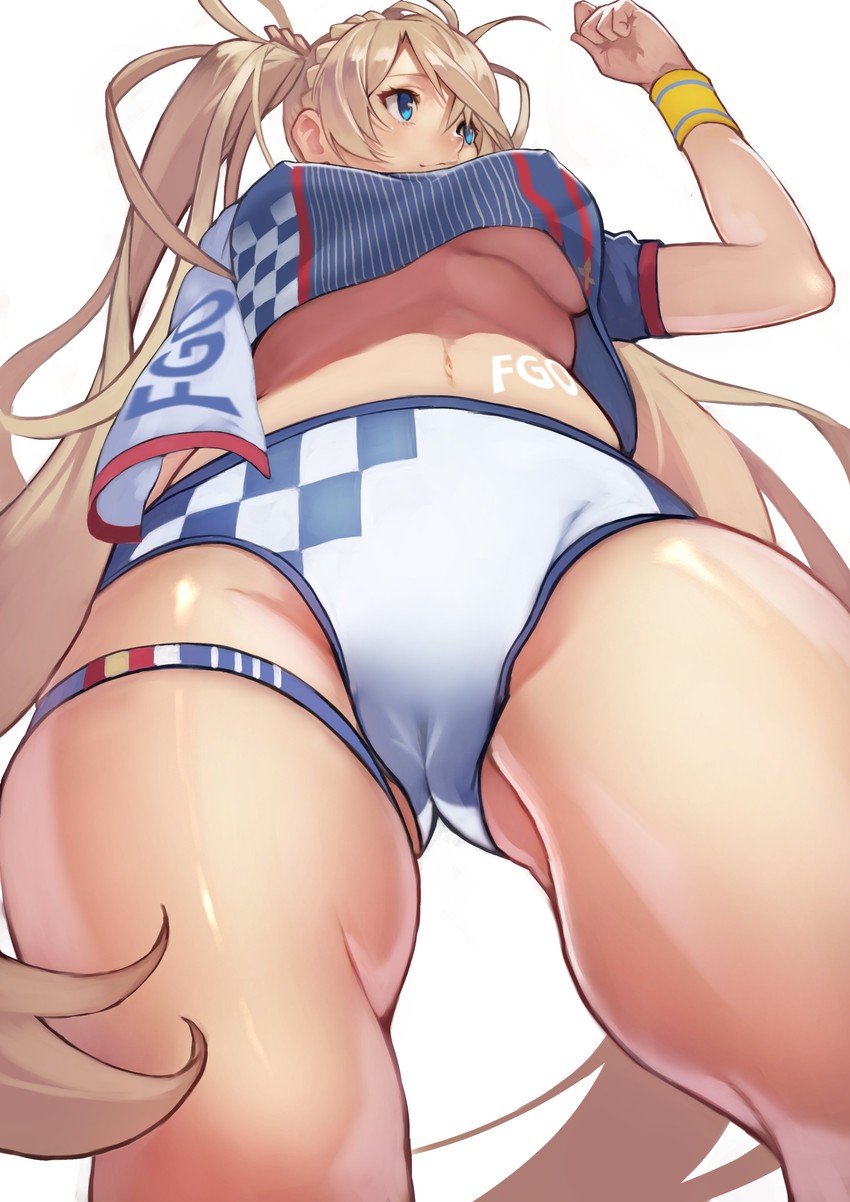 bradamante (fate and 1 more) drawn by yoshio_(55level)