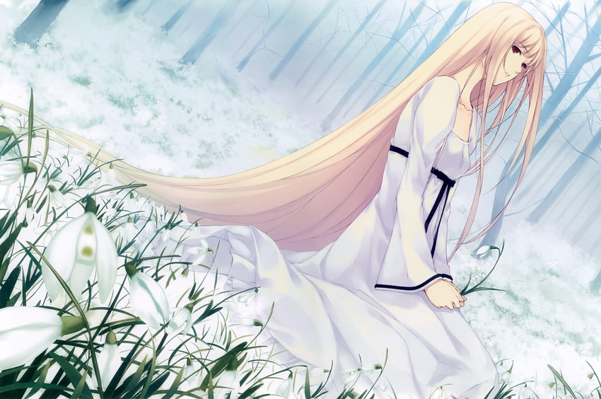 nanatsuki shion (caucasus) drawn by sugina_miki
