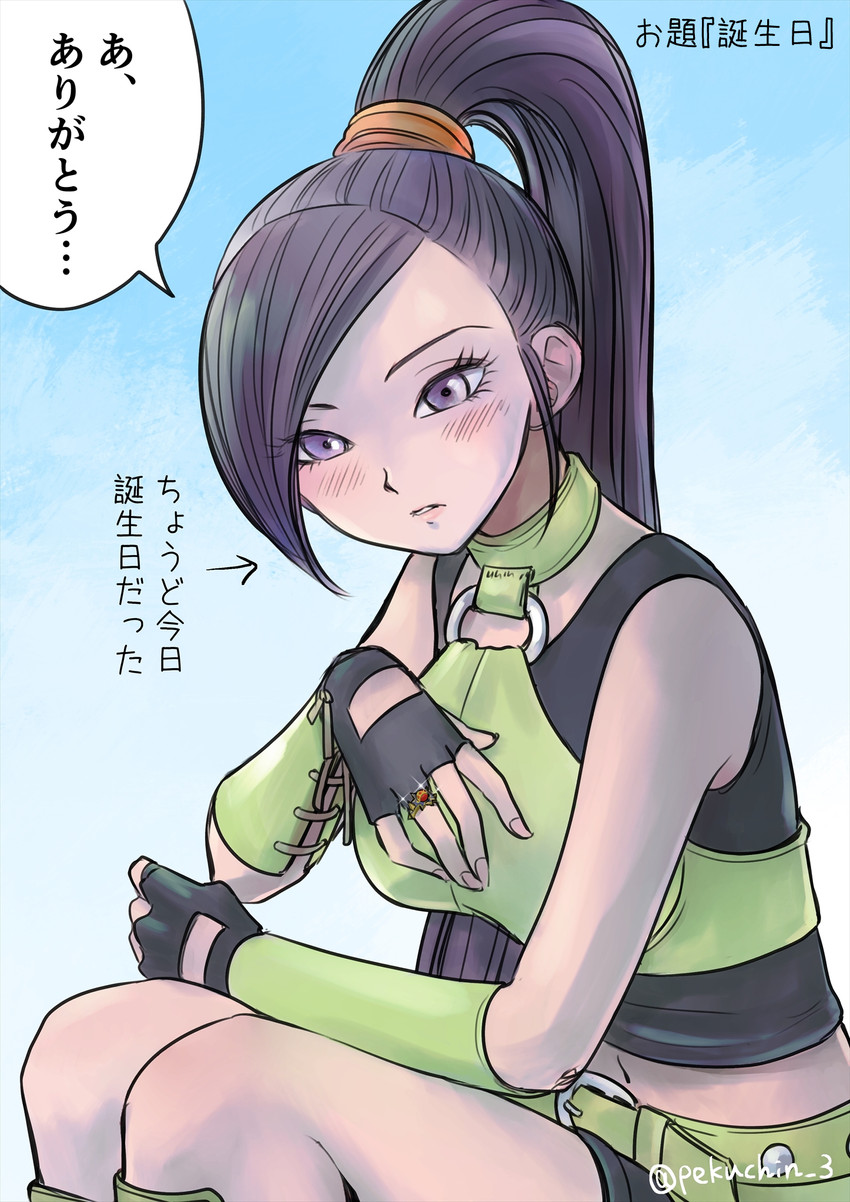 martina (dragon quest and 1 more) drawn by pekuchin_(pekuchin_3)