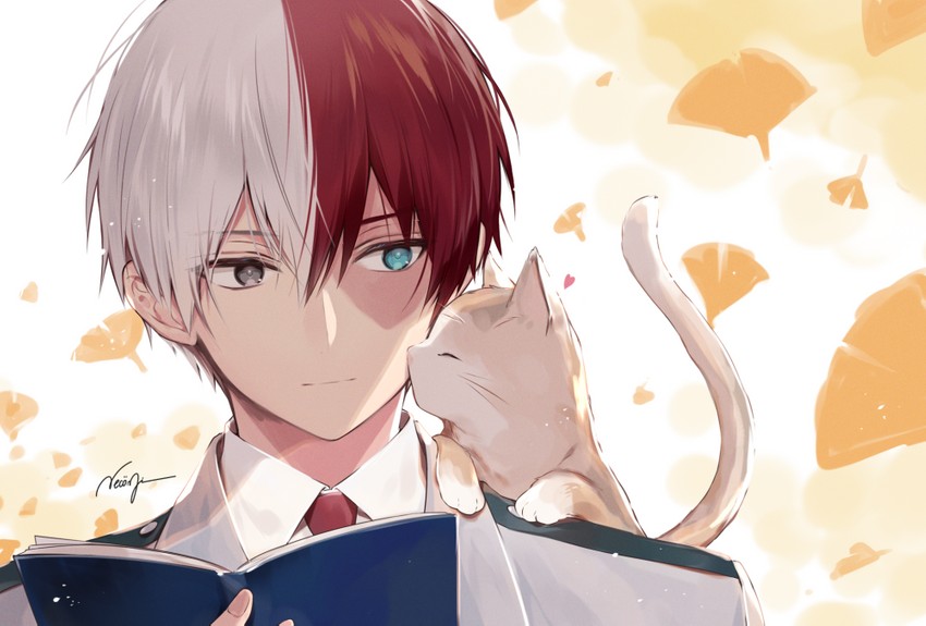 todoroki shoto (boku no hero academia) drawn by necomi