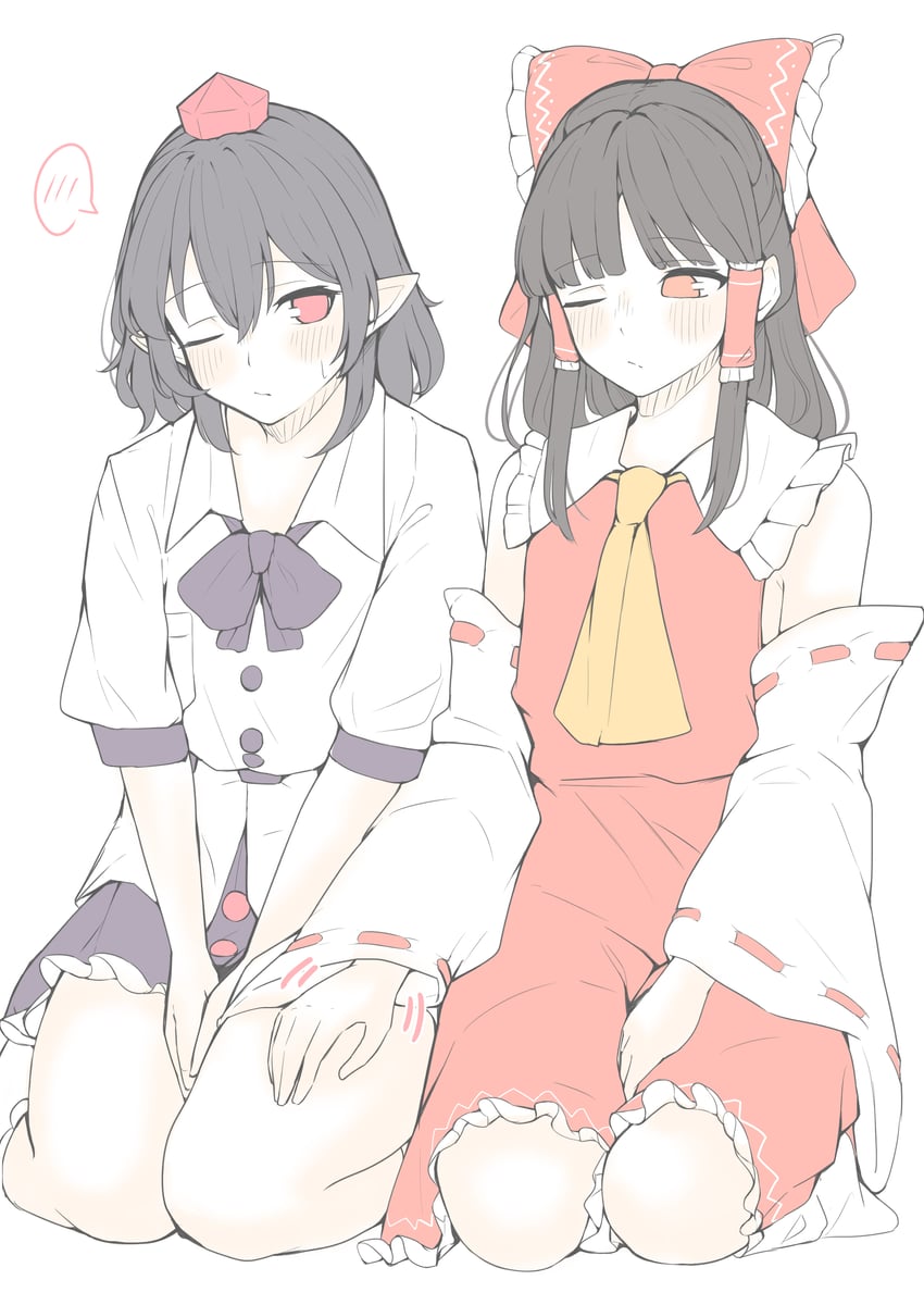 hakurei reimu and shameimaru aya (touhou) drawn by seele_(chanseele0128)