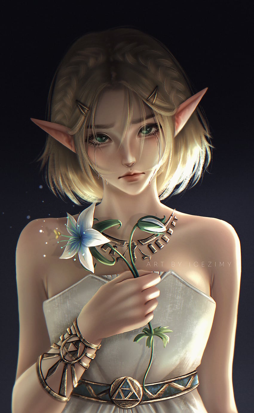 princess zelda (the legend of zelda and 1 more) drawn by icezimy