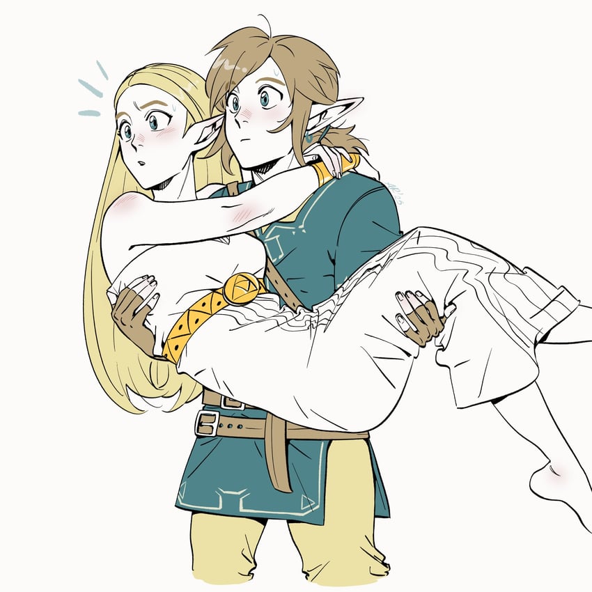 link and princess zelda (the legend of zelda and 1 more) drawn by alanisdraws