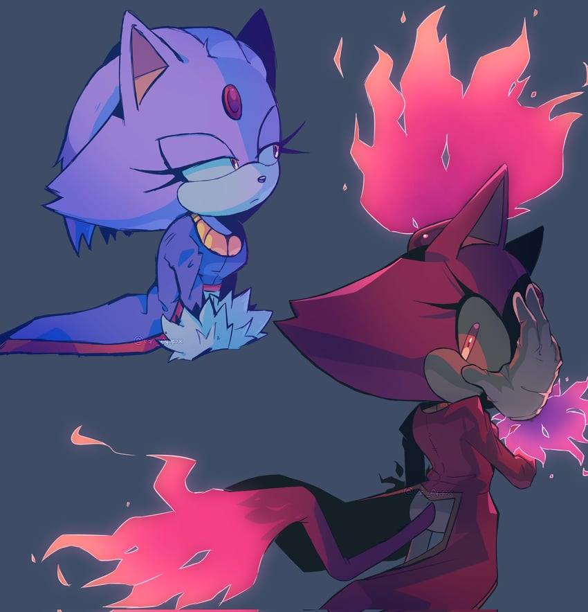blaze the cat and burning blaze (sonic) drawn by gr_appx