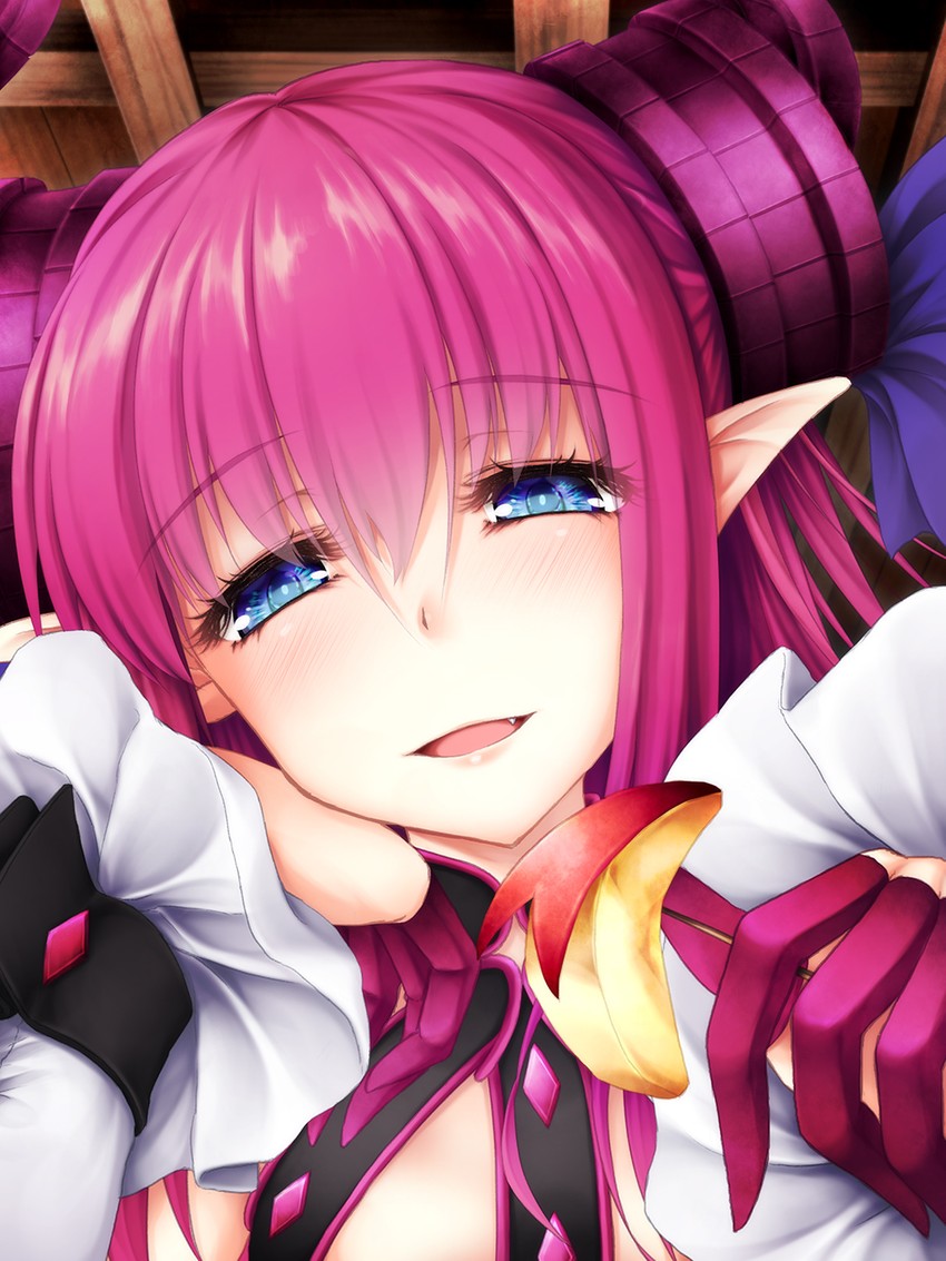 elizabeth bathory (fate and 3 more) drawn by sasasa_(nashi)