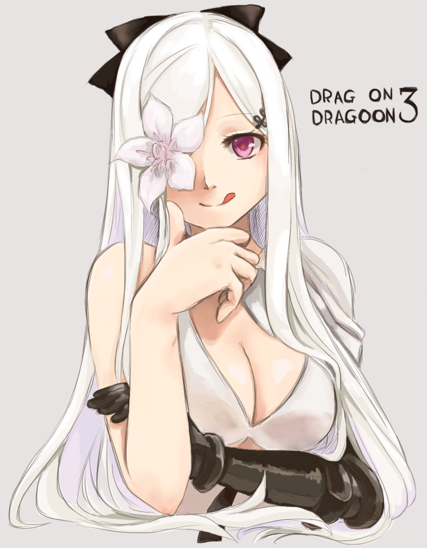 zero (drag-on dragoon and 1 more) drawn by aaanpan
