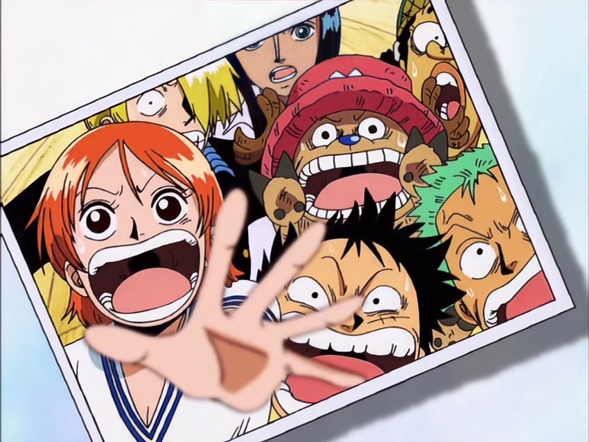nami, monkey d. luffy, nico robin, roronoa zoro, sanji, and 2 more (one piece)