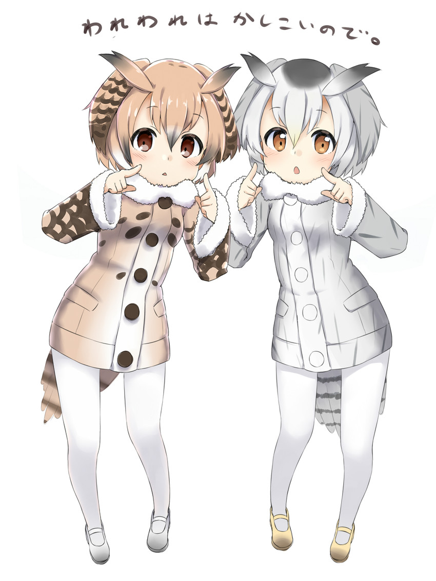 northern white-faced owl and eurasian eagle owl (kemono friends) drawn by sekira_ame