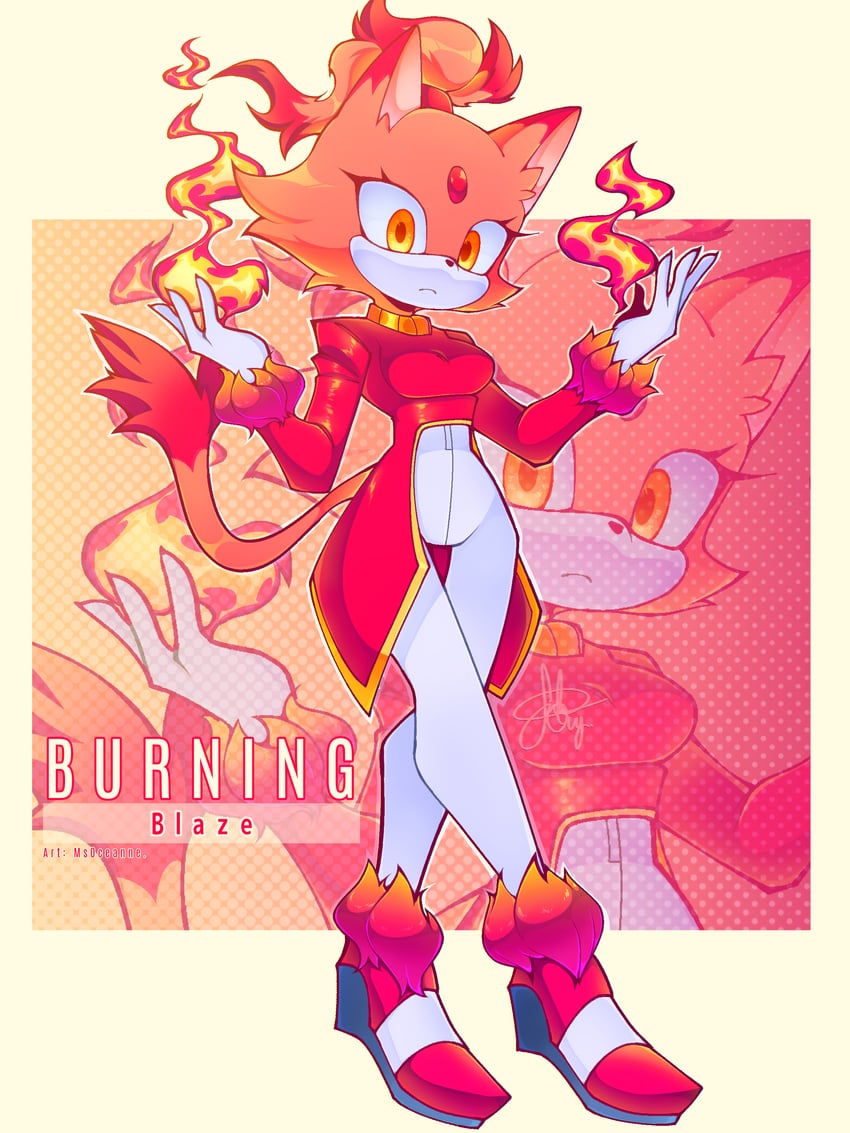 blaze the cat and burning blaze (sonic) drawn by msoceanne