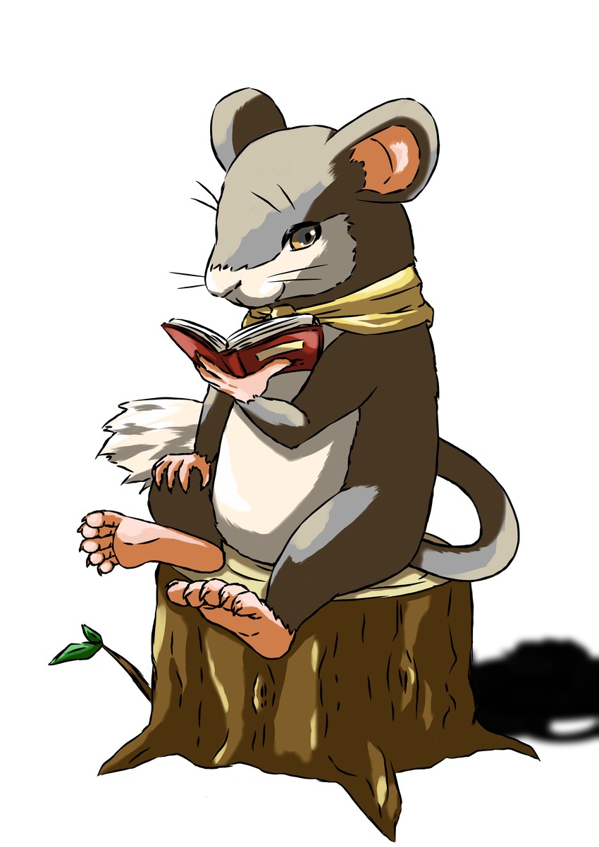rakushun (juuni kokuki) drawn by watagashikn