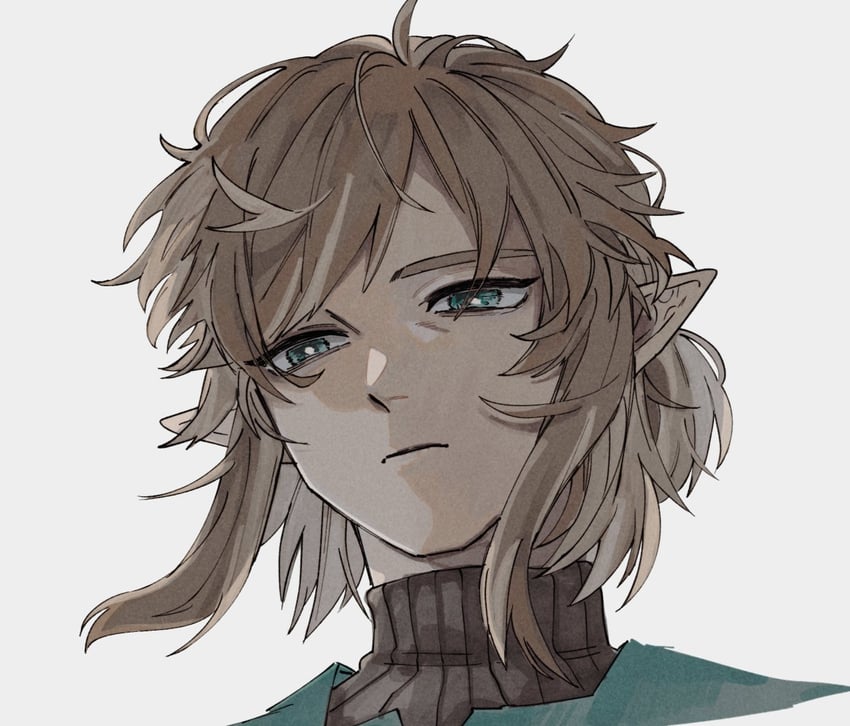 link (the legend of zelda and 1 more) drawn by teto_ten