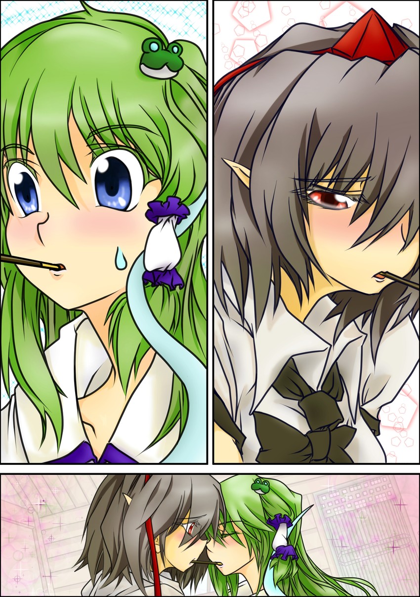 kochiya sanae and shameimaru aya (touhou) drawn by min_(mimion)
