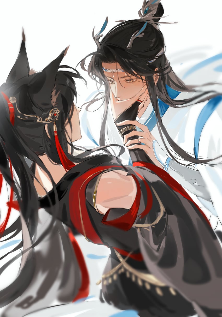 wei wuxian and lan wangji (modao zushi) drawn by shenzhang10011