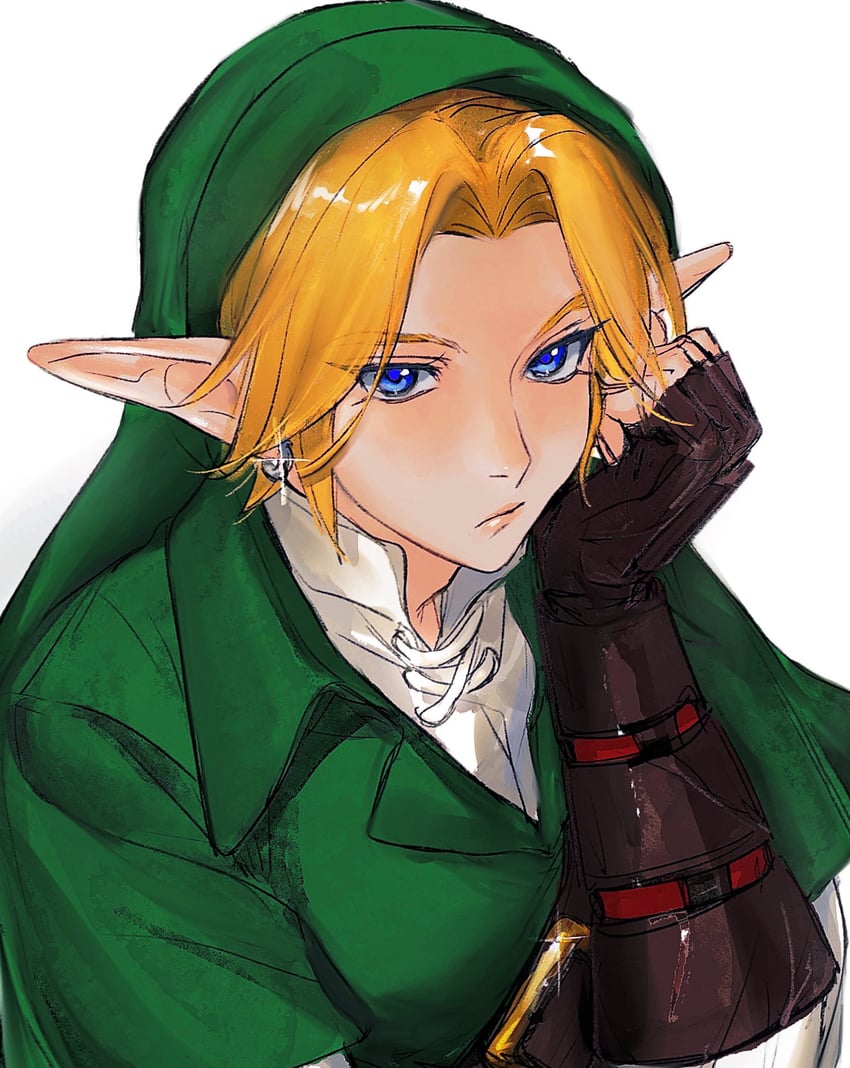 link (the legend of zelda and 1 more) drawn by 756zl