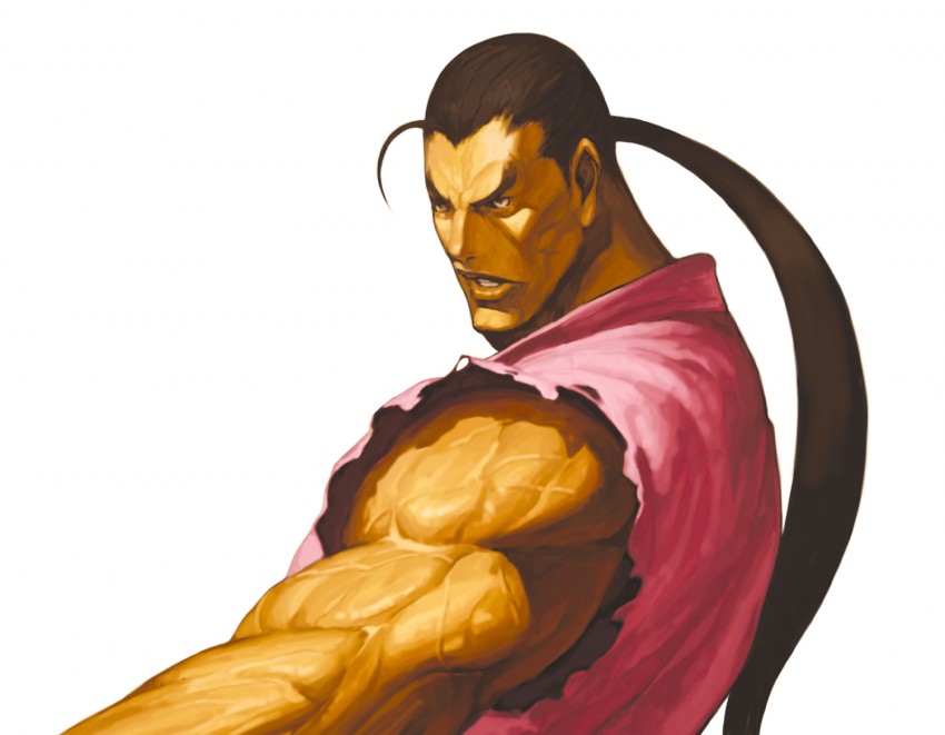 hibiki dan (street fighter and 1 more) drawn by nona