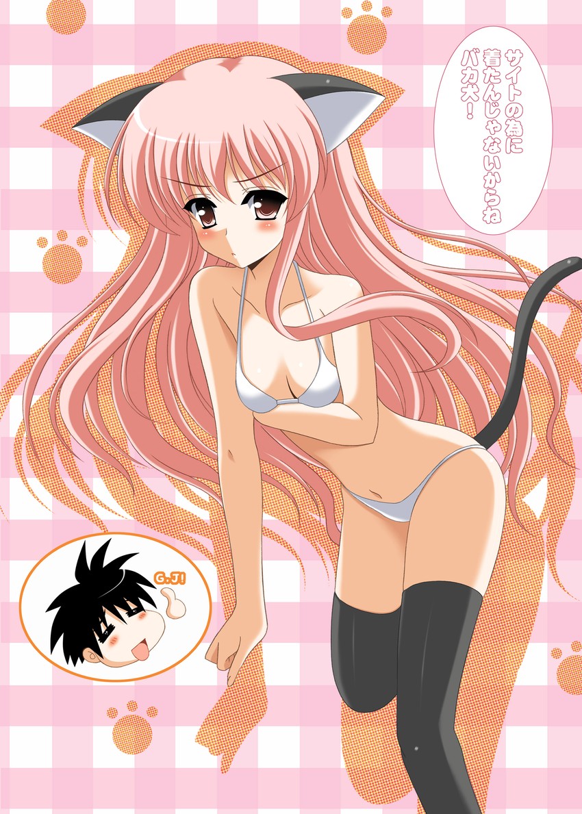 louise francoise le blanc de la valliere (zero no tsukaima) drawn by oda_ken'ichi