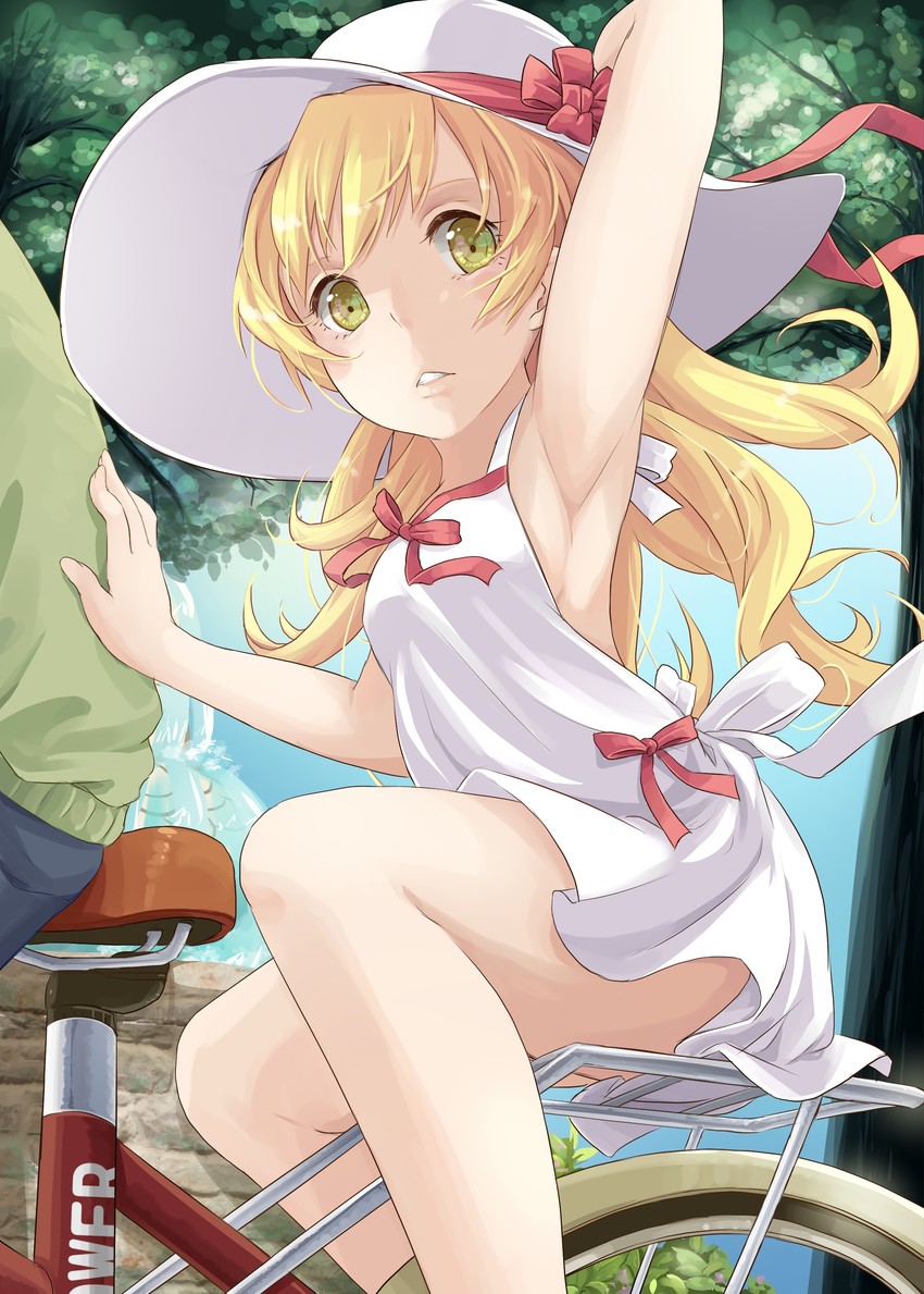 oshino shinobu (monogatari and 1 more) drawn by hpflower