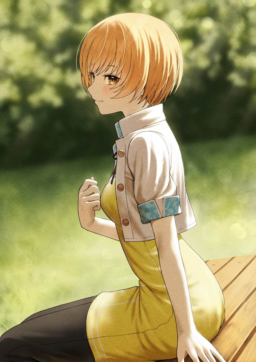 satonaka chie (persona and 1 more) drawn by fagi_(kakikaki)