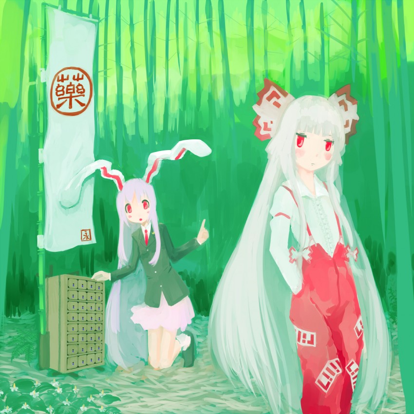 reisen udongein inaba and fujiwara no mokou (touhou) drawn by sakana_(packetsjp)