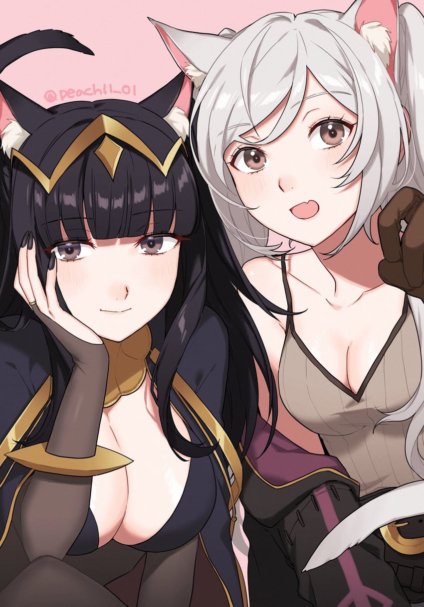 female robin and tharja (fire emblem and 1 more) drawn by shamu_(peach11_01)