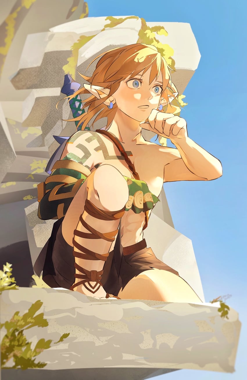 link (the legend of zelda and 1 more) drawn by gura_(guragrass)