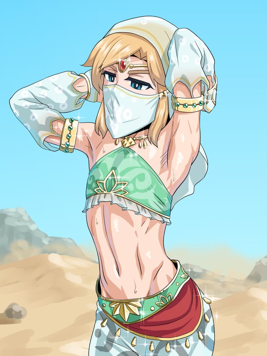link (the legend of zelda and 1 more) drawn by nagiichi