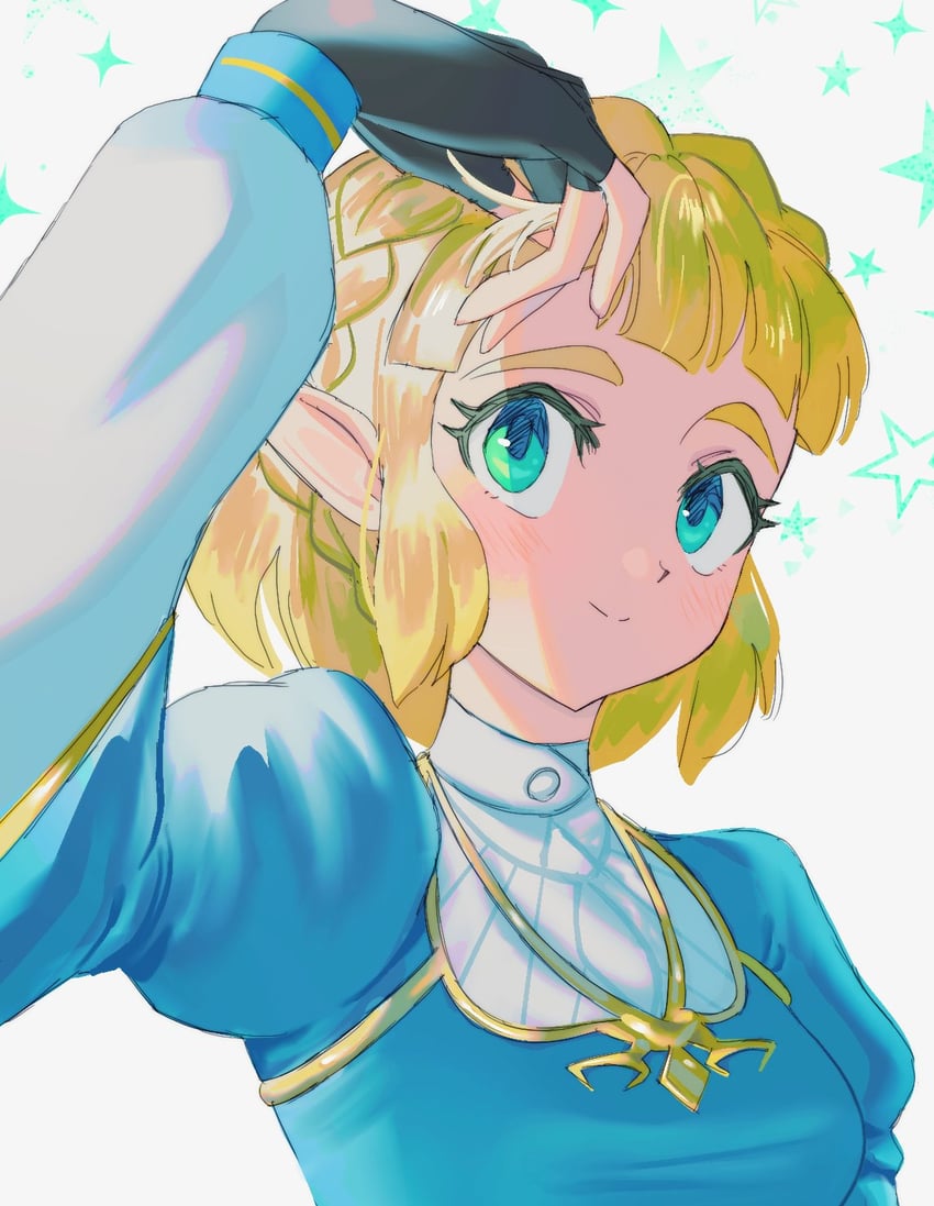 princess zelda (the legend of zelda and 1 more) drawn by tk_12