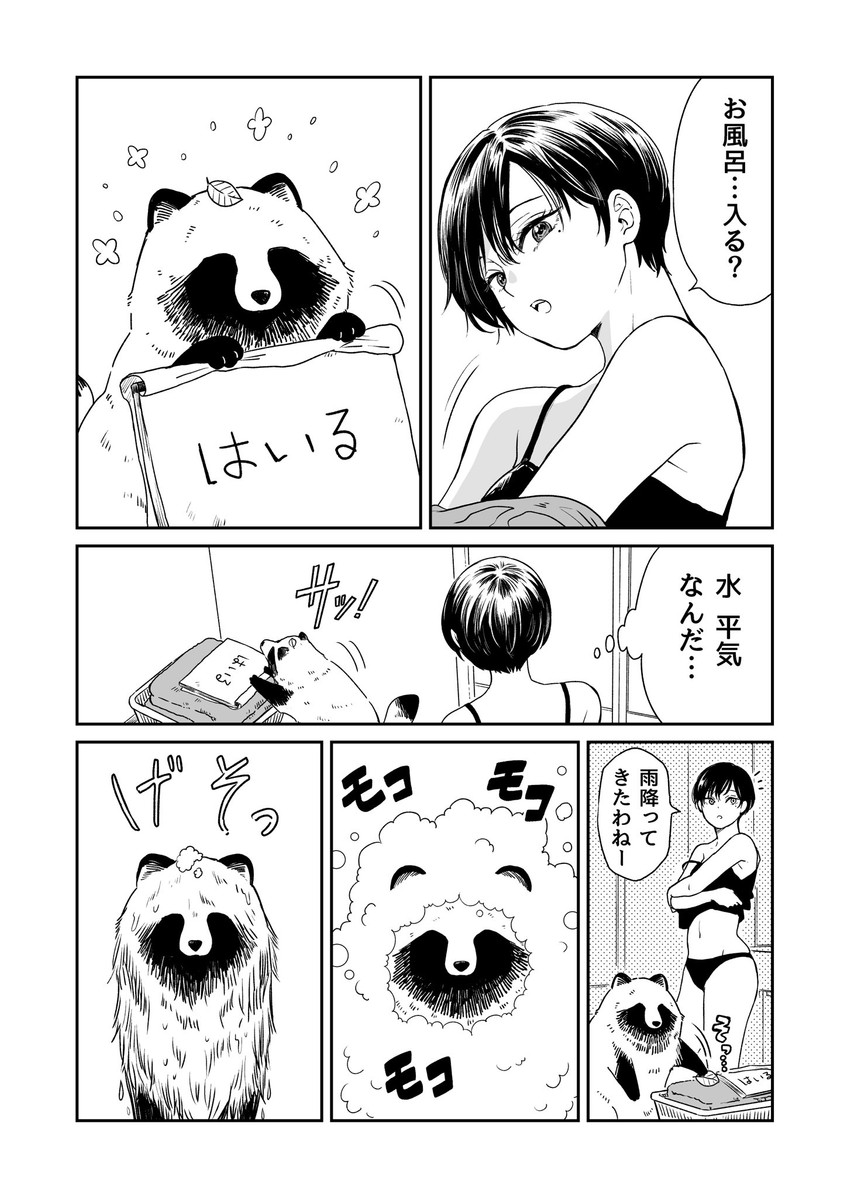 tanuki and fuji (ame to kimi to) drawn by nikaidou_kou