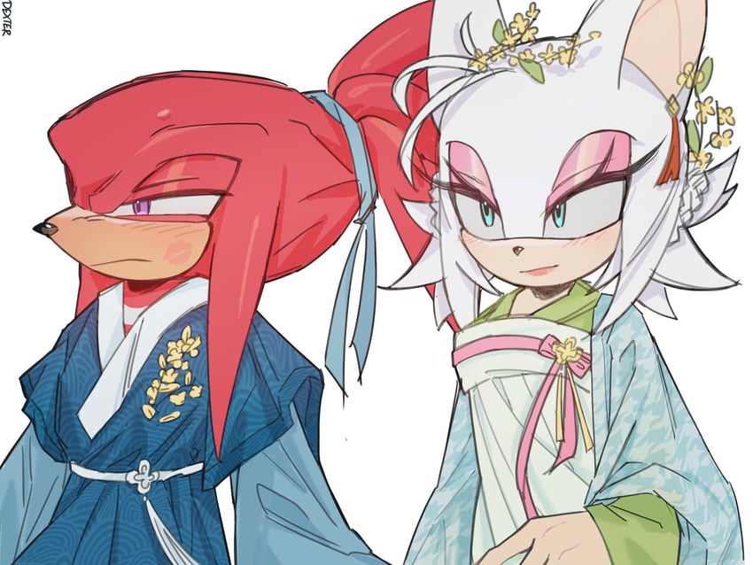 rouge the bat and knuckles the echidna (sonic) drawn by dexter308917