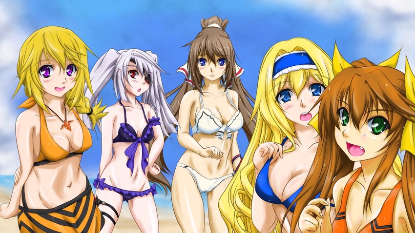 charlotte dunois, cecilia alcott, laura bodewig, shinonono houki, and huang lingyin (infinite stratos) drawn by ani_(moe_road)