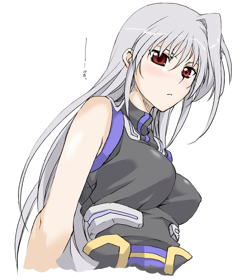 reinforce (lyrical nanoha and 3 more) drawn by elf_(stroll_in_the_woods)