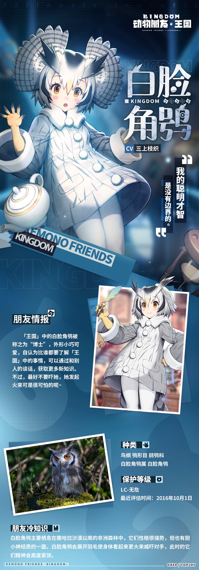 northern white-faced owl (kemono friends and 1 more)