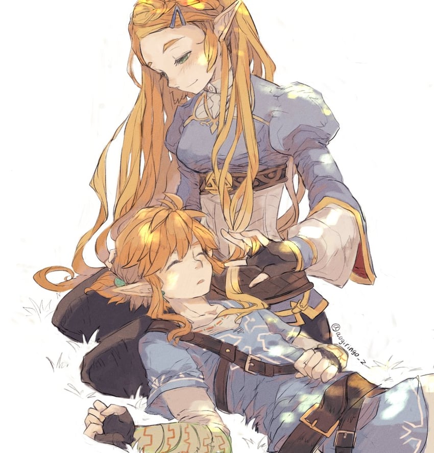 link and princess zelda (the legend of zelda and 1 more) drawn by aogoma