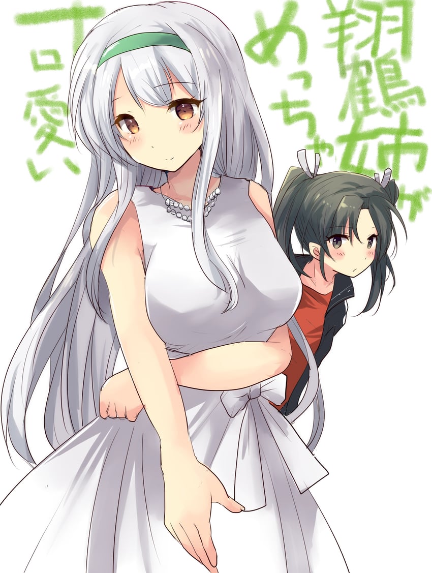 zuikaku and shoukaku (kantai collection and 1 more) drawn by hirune_(konekonelkk)