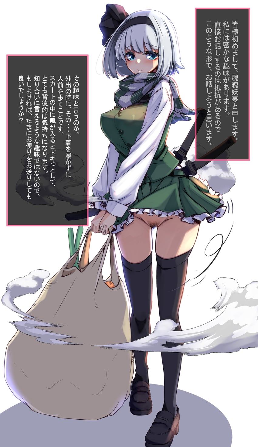 konpaku youmu (touhou) drawn by yukito_(dreamrider)