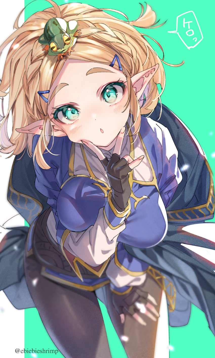princess zelda (the legend of zelda and 1 more) drawn by shuri_(84k)
