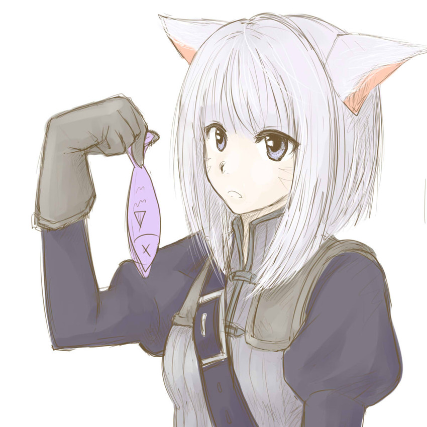 warrior of light (final fantasy and 1 more)