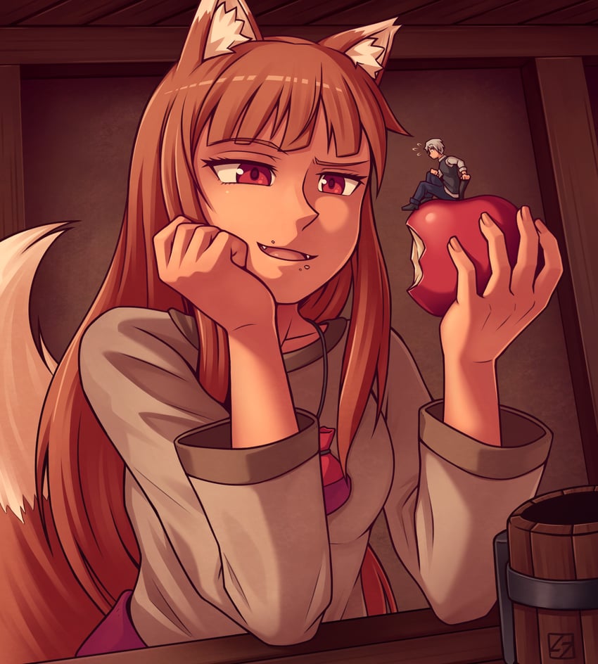 holo and craft lawrence (spice and wolf) drawn by thunderafterdark