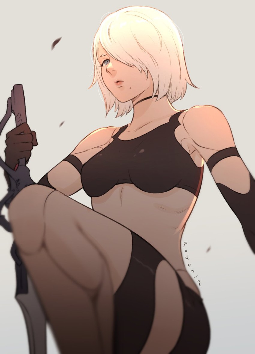 a2 (nier and 1 more) drawn by koyorin