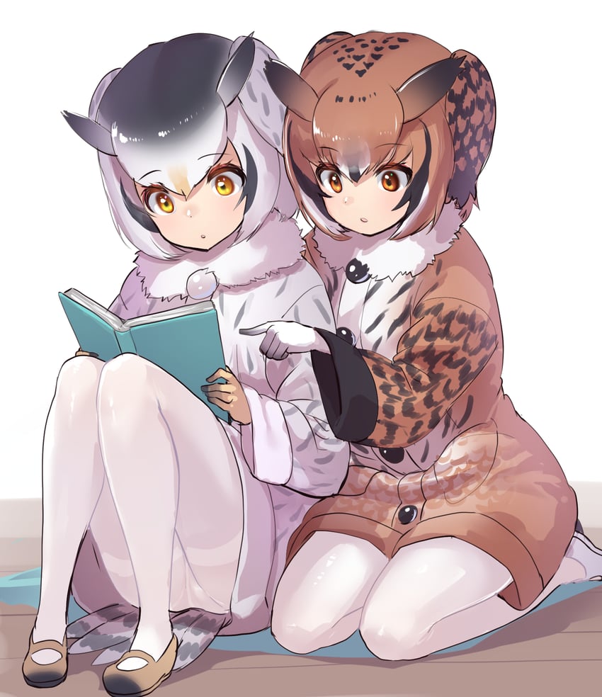 northern white-faced owl and eurasian eagle owl (kemono friends) drawn by tadano_magu