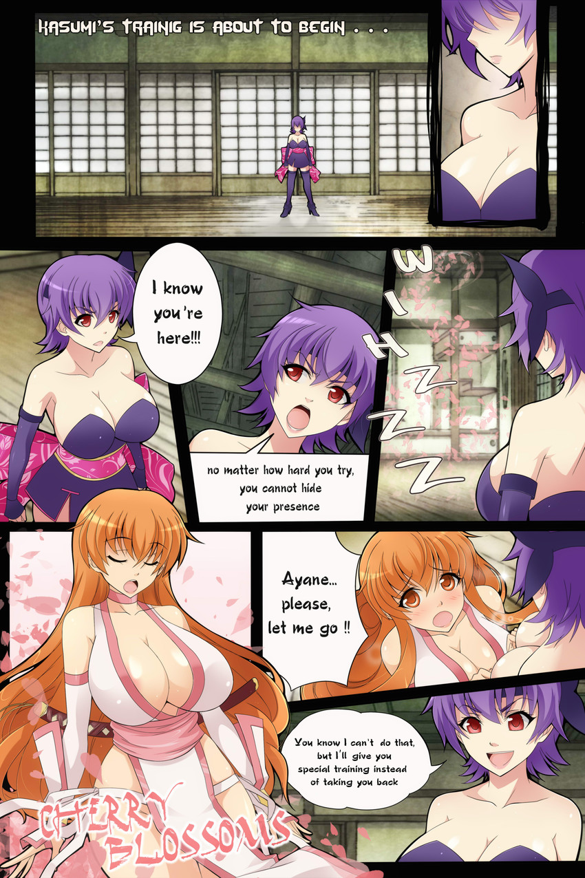 kasumi and ayane (dead or alive) drawn by x-t3al