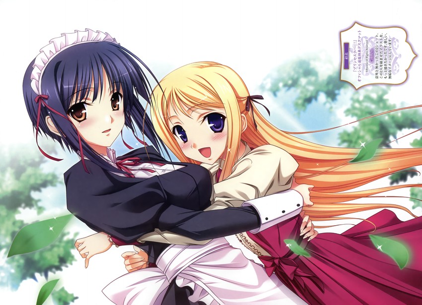fujikura yuu and maria van hossen (princess lover) drawn by komori_kei