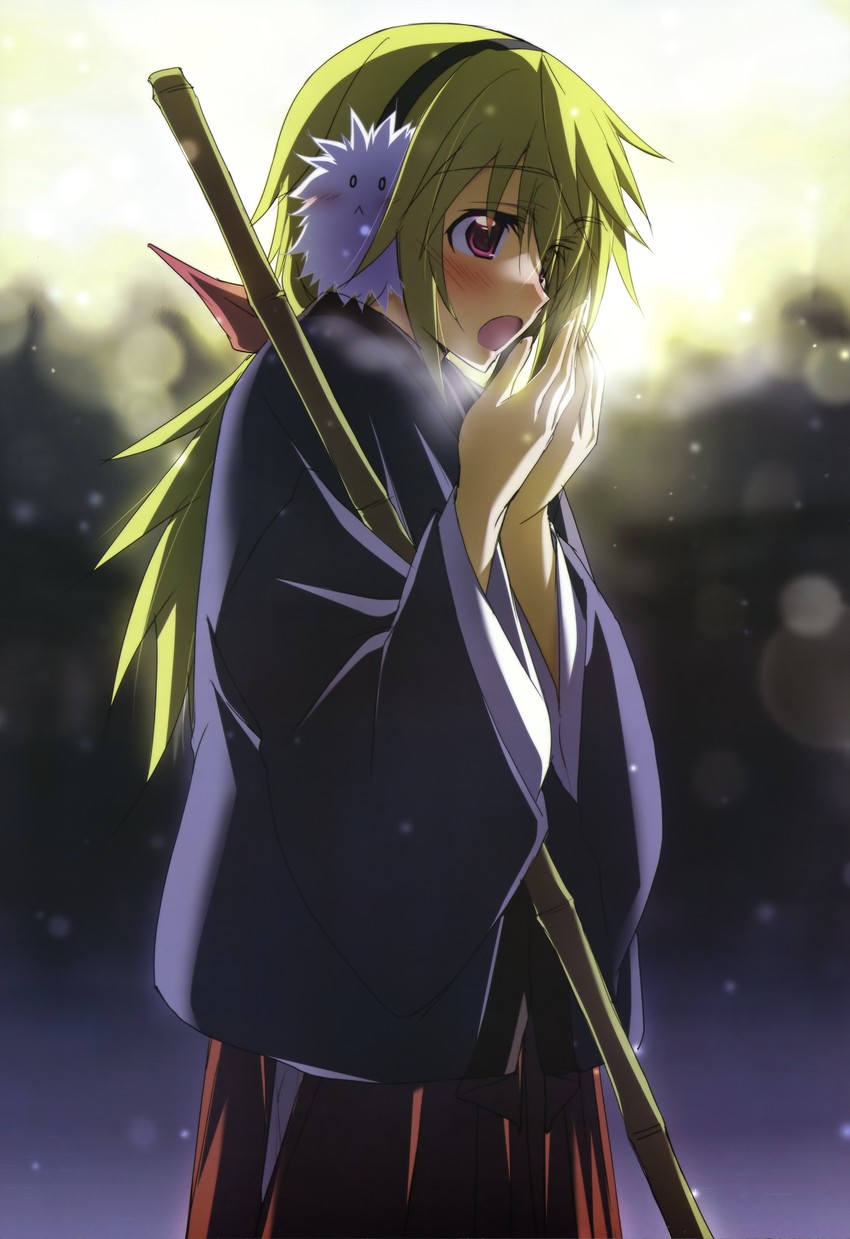 charlotte dunois (infinite stratos and 1 more) drawn by kurashima_tomoyasu
