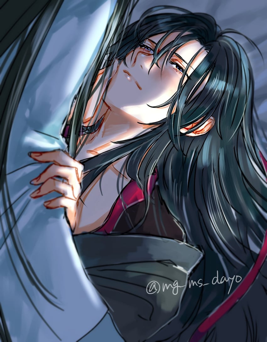 wei wuxian and lan wangji (modao zushi) drawn by mg_ms_dayo